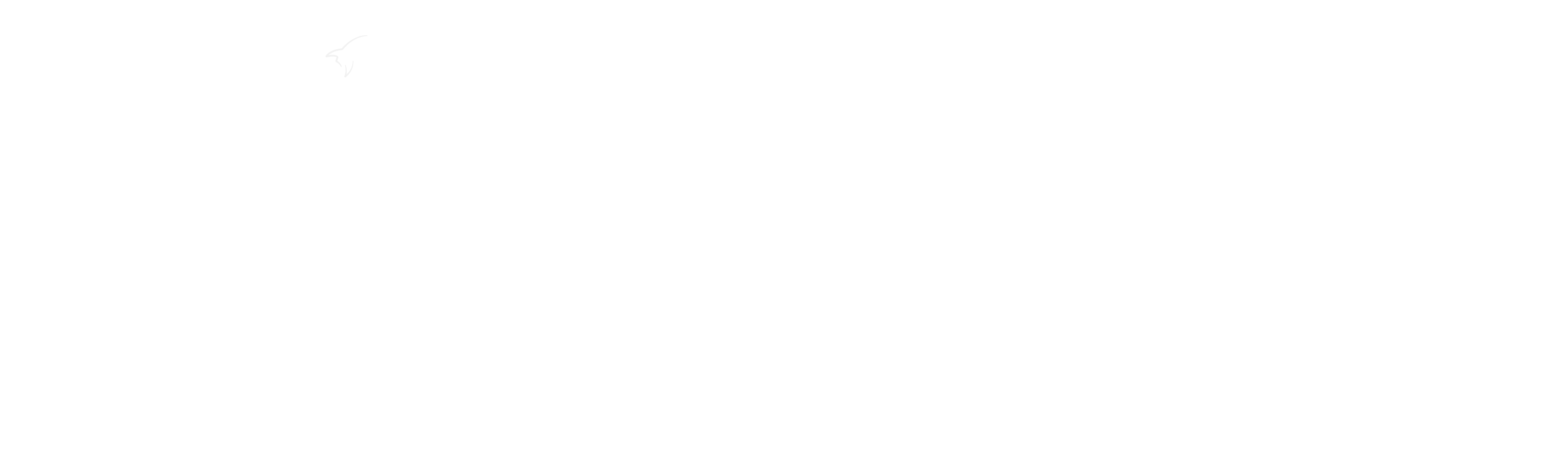 Youno White